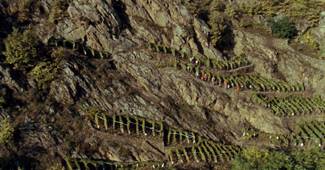 Giacomo Gatti Ermanno Olmi Valtellina Vino